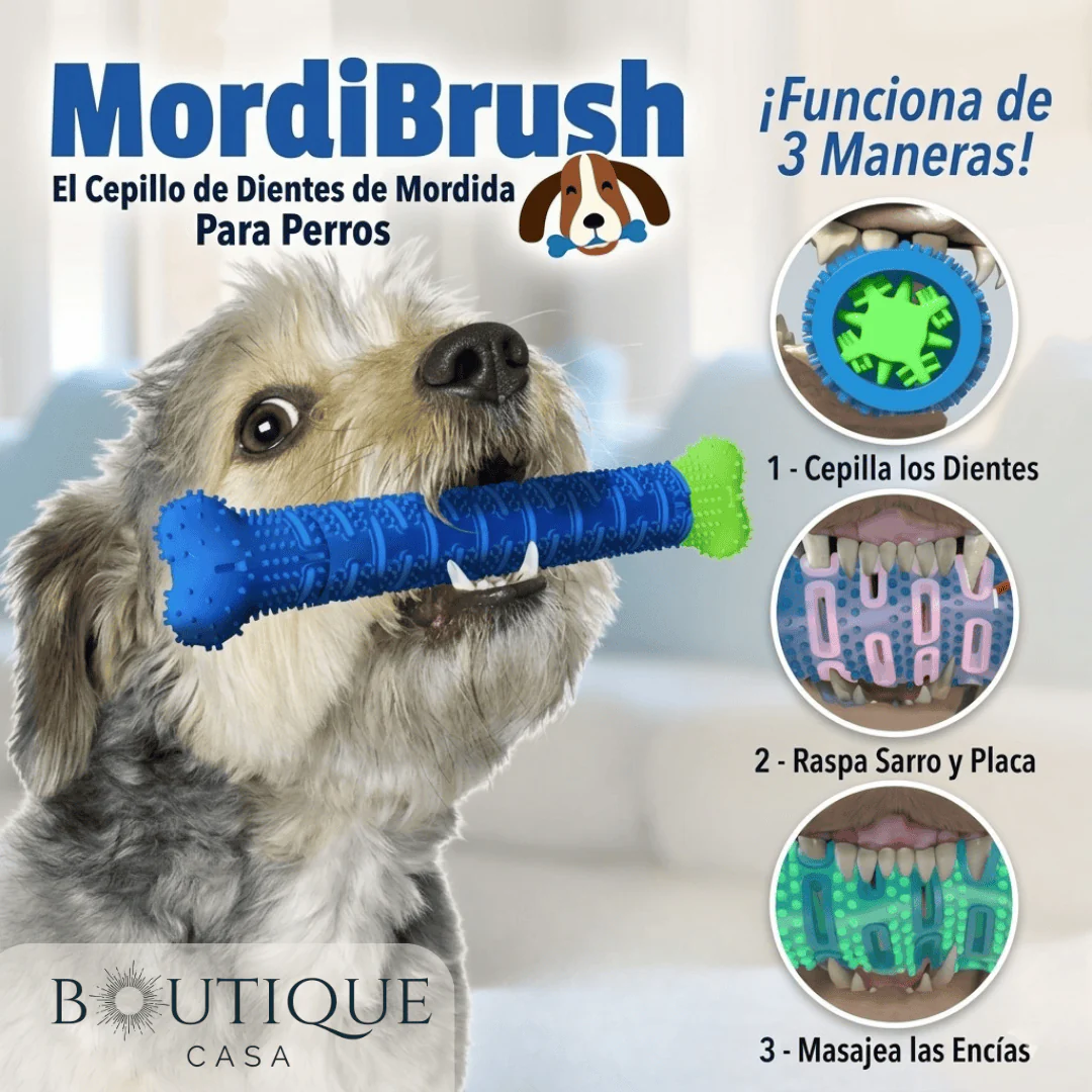 Cepillo de Juguete para Perros | MordiBrush™ - Image 2