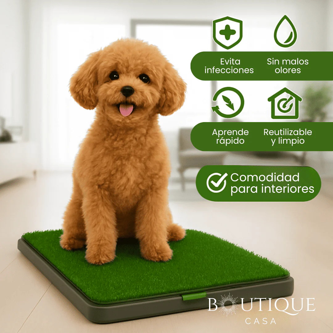 Tapete Entrenador para Perros | CleanGrass™ - Image 2